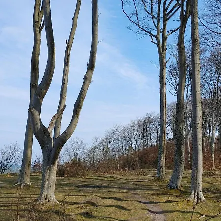 Nad Dolina Ciszy Lodge Debina (Ustka)